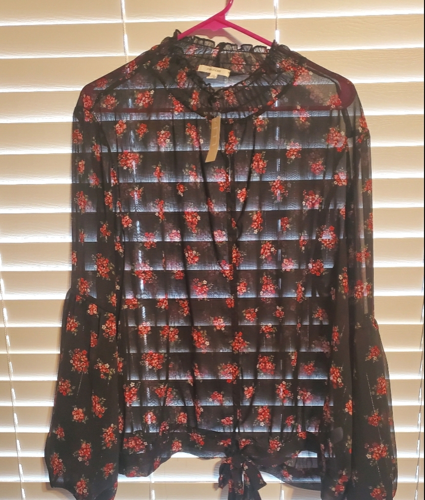 Rose print chiffon shear blouse
